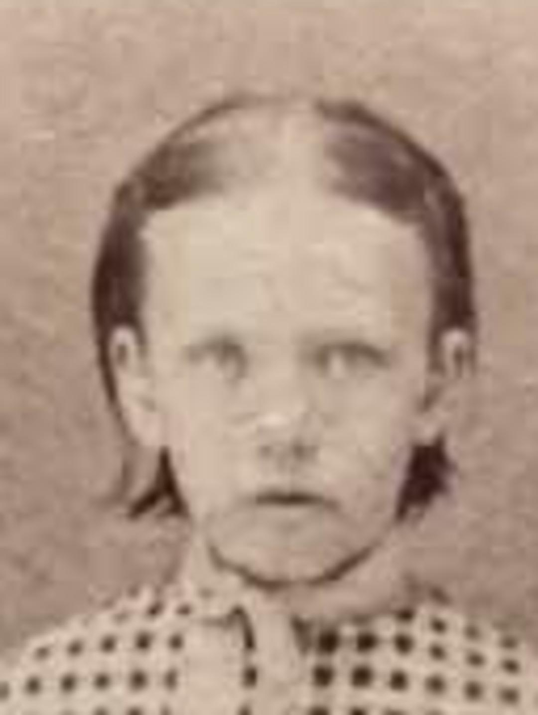 Elizabeth Broadbent (1861 - 1871) Profile